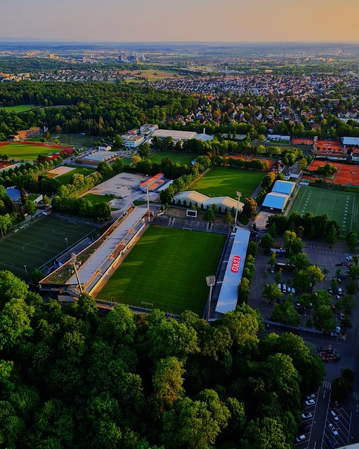 成功的土壤 成功的土壤