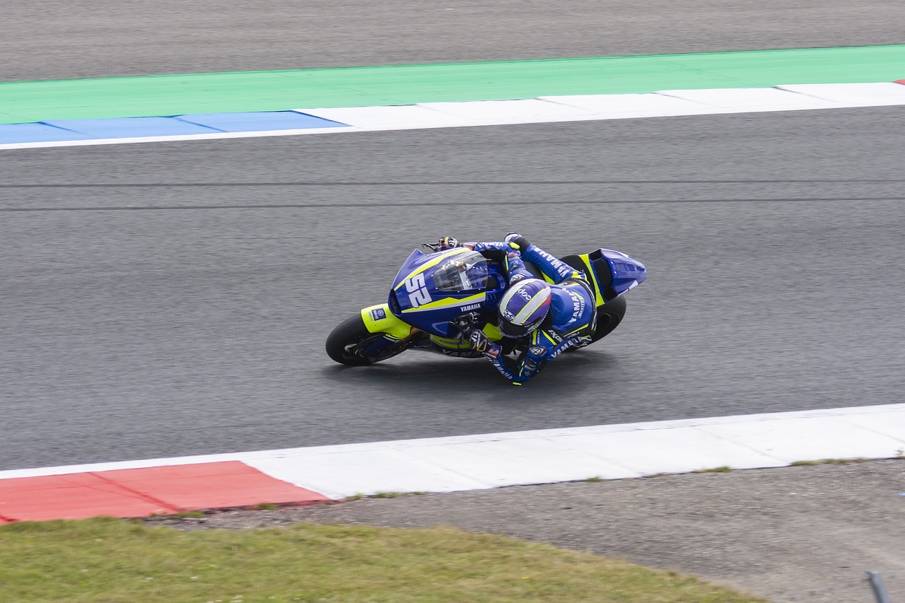 不屈的精神 不屈的精神