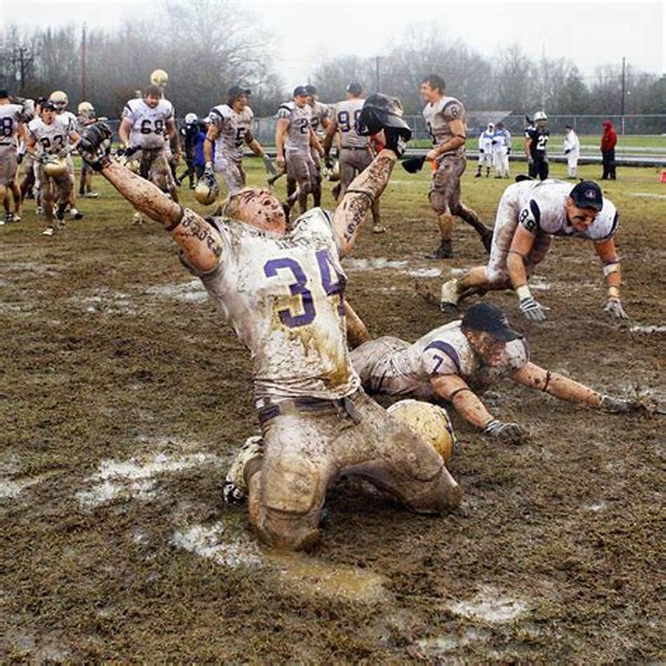 斯坦则在不 斯坦则在不